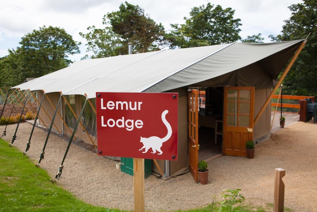 Hotel Durrell Wildlife Camp Trinity Exterior foto
