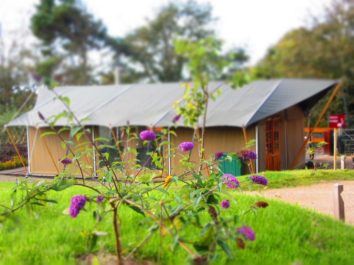 Hotel Durrell Wildlife Camp Trinity Exterior foto